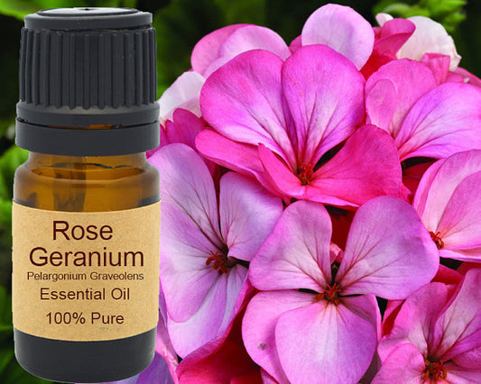 Rose Geranium Essential Oil 15ml - SHOPSOLONY