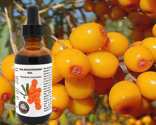 100% Pure Sea Buckthorn Fruit, Berry Oil. Cold - SHOPSOLONY