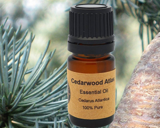 Cedarwood Atlas Essential Oil 15 ml - SHOPSOLONY