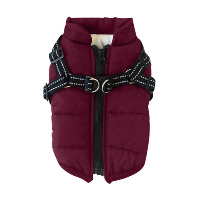 Pet Clothes Winter Warm Jacket with Harness Puppy Outdoor Walk Adjustable Chest Strap Dog Cloth Vest Winter Clothing - SHOPSOLONY