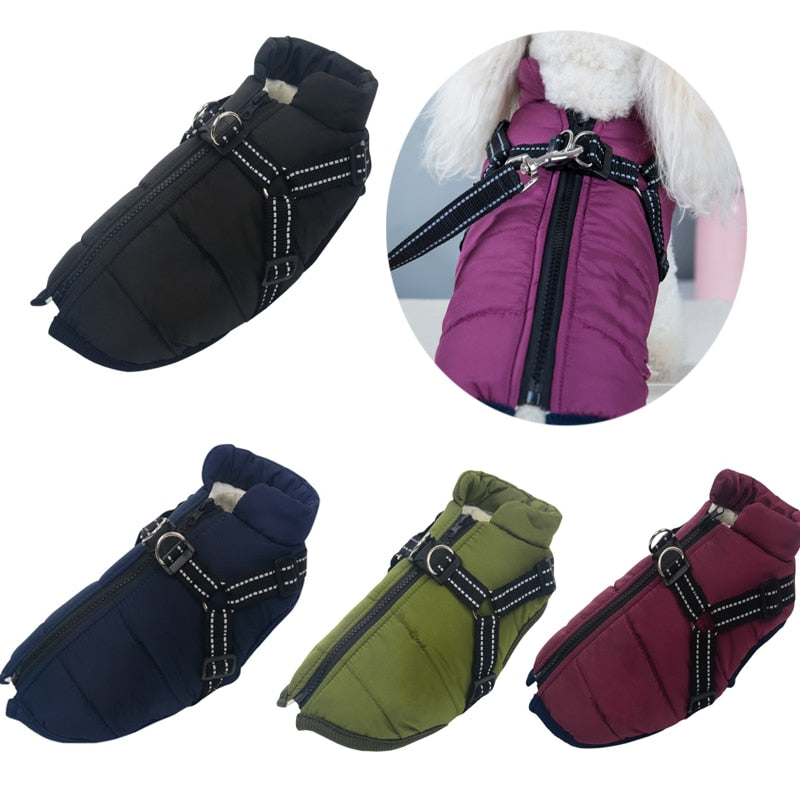 Pet Clothes Winter Warm Jacket with Harness Puppy Outdoor Walk Adjustable Chest Strap Dog Cloth Vest Winter Clothing - SHOPSOLONY